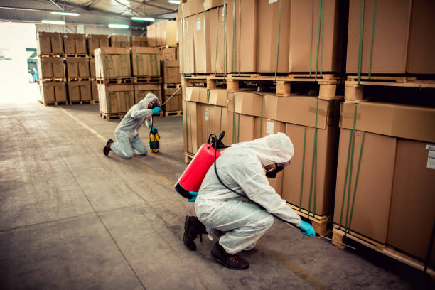 Pest Prevention Services in Louisville, OH