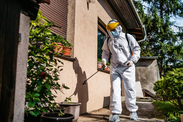 Wasp Removal Services in Louisville, OH