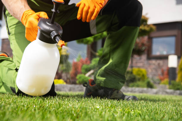 Best Ant Control Services  in Louisville, OH