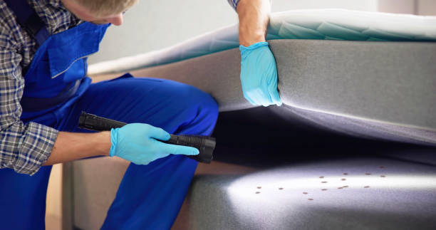 Best Bed Bug Extermination  in Louisville, OH