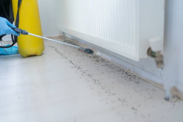 Best Exterminator Services  in Louisville, OH